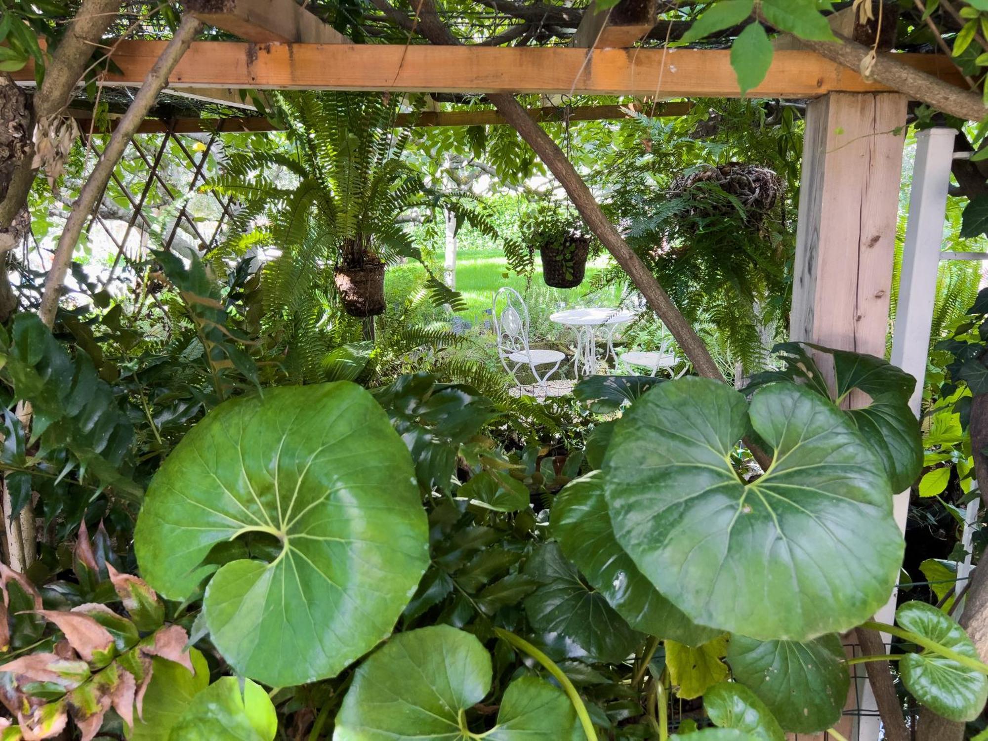 Villa La Rodina ディアーノ・マリーナ エクステリア 写真