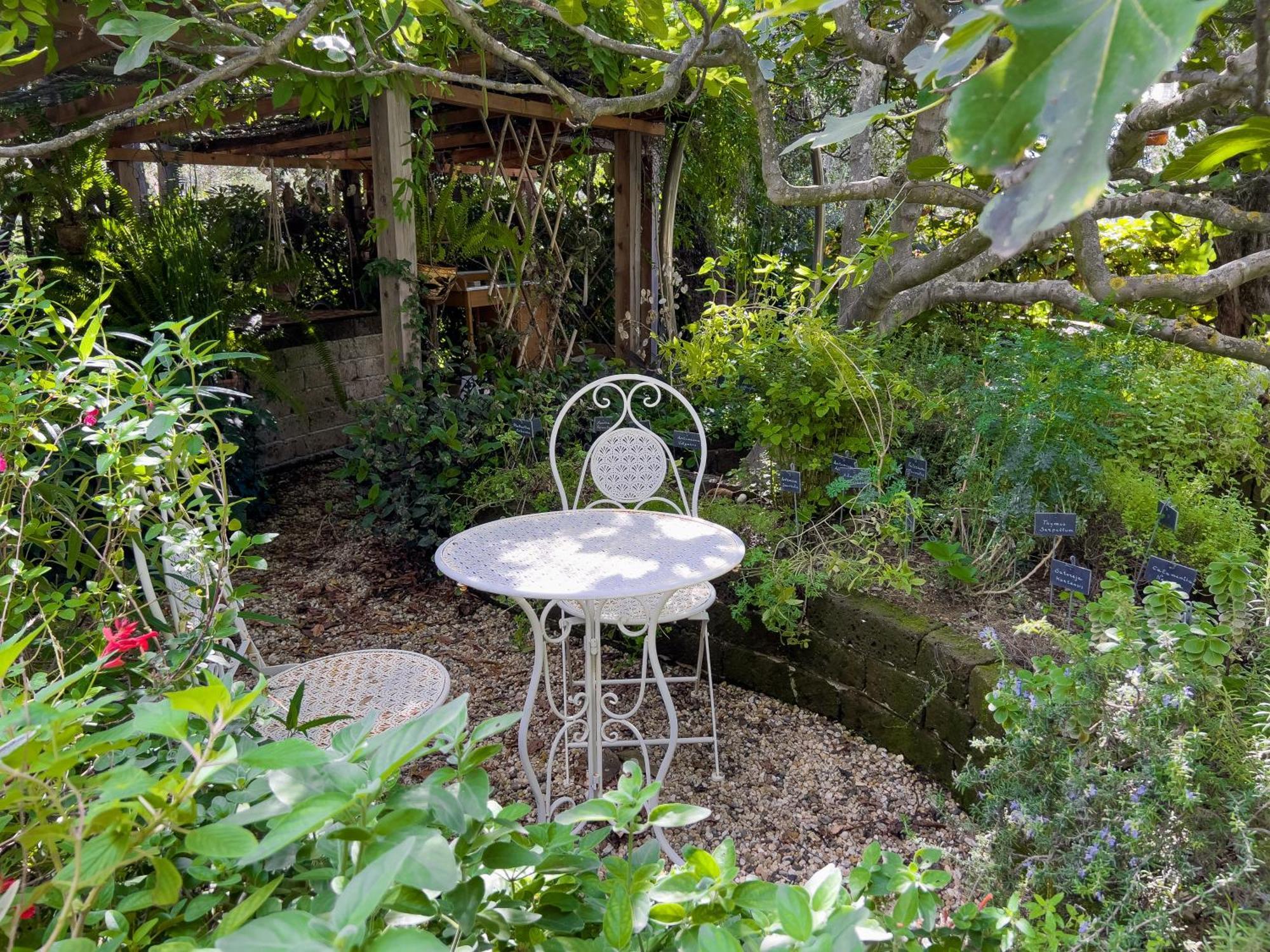 Villa La Rodina ディアーノ・マリーナ エクステリア 写真
